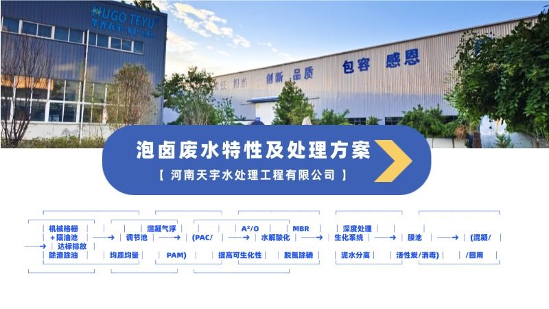 泡鹵廢水特性及處理方案